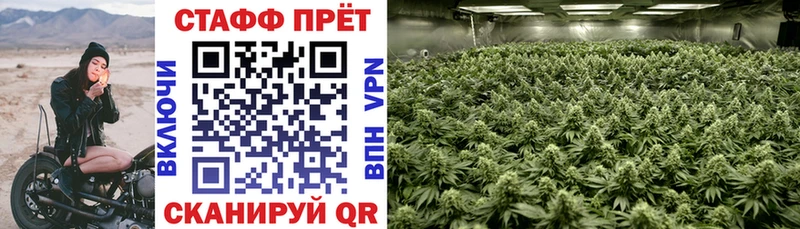 Виды наркоты Котлас ГАШ КОКАИН Меф Alpha-PVP Марихуана