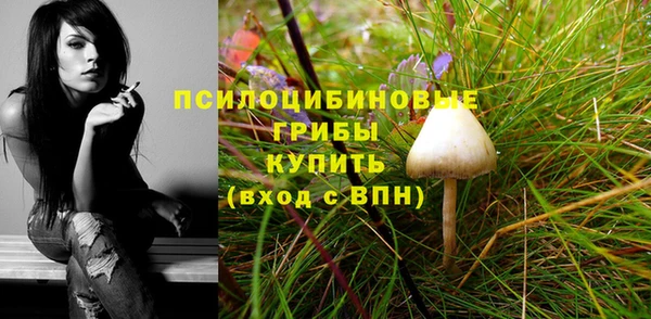 скорость Алексин