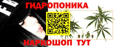 ешки Краснодар