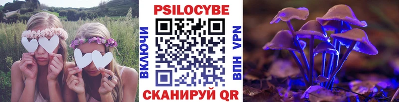 Псилоцибиновые грибы GOLDEN TEACHER  hydra маркетплейс  Котлас 