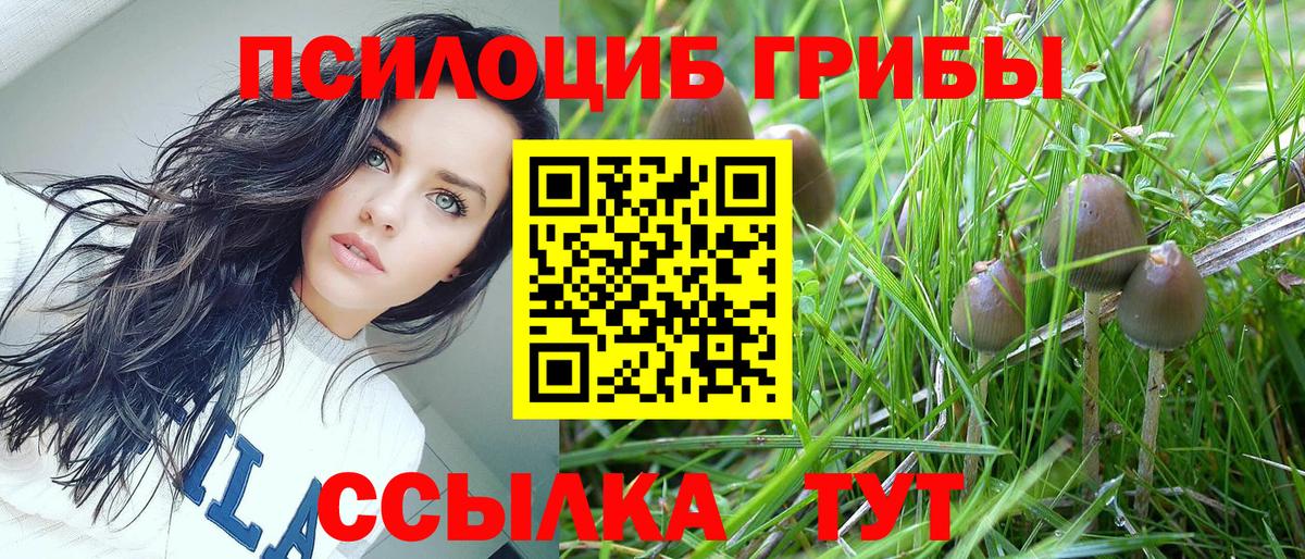 Псилоцибиновые грибы MAGIC MUSHROOMS Котлас